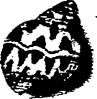 062/062270030100180_1.png