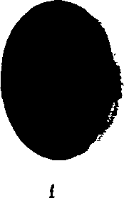 062/062270030100220_0.png