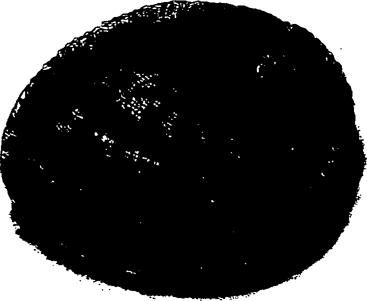 062/062270030100290_0.png