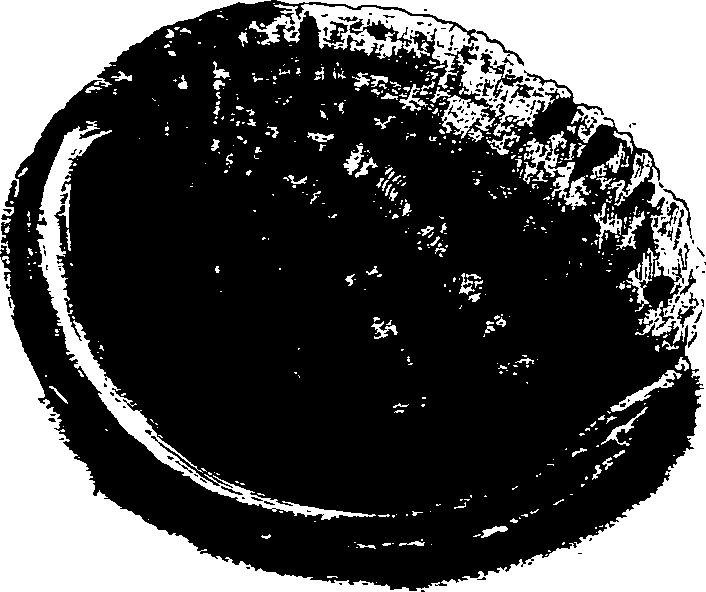 062/062270030100290_1.png