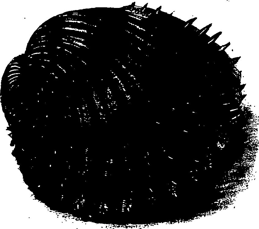 062/062270030100310_0.png