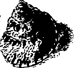 062/062270030100380_0.png
