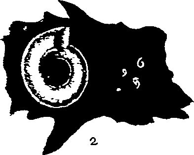 062/062270030100420_0.png