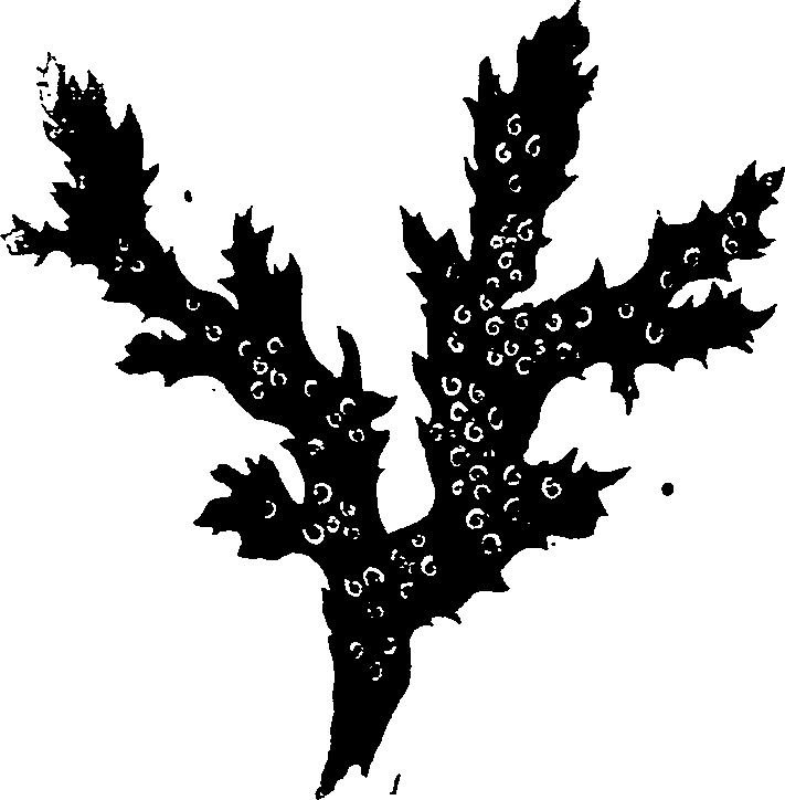 062/062270030100420_1.png
