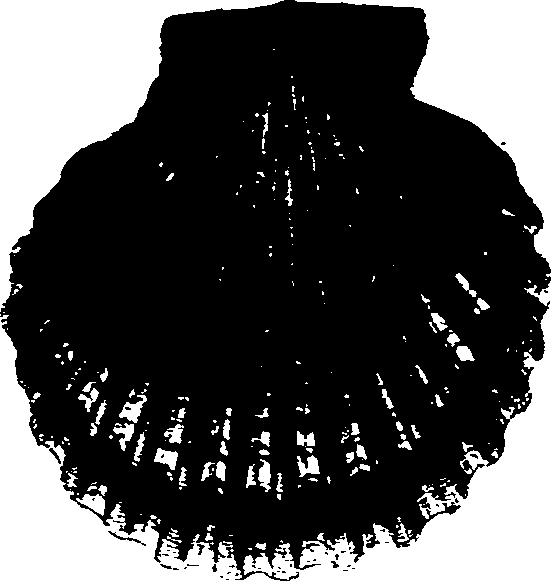 062/062270030100530_1.png