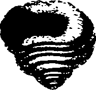 062/062270030100560_0.png