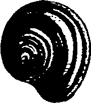 062/062270030100560_1.png