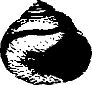 062/062270030100560_2.png