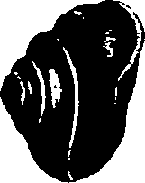 062/062270030100560_3.png