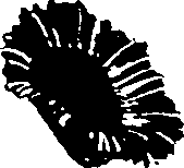 062/062270030100590_0.png