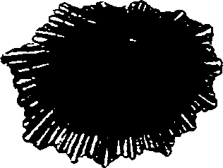 062/062270030100590_1.png