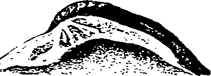 062/062270030100670_0.png