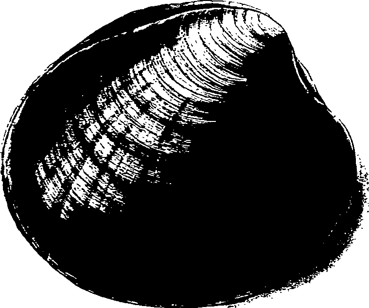 062/062270030100670_1.png