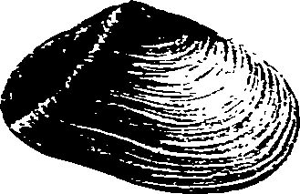 062/062270030100720_0.png