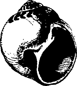 062/062270030100750_0.png