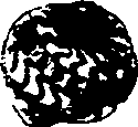 062/062270030100750_1.png