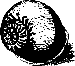 062/062270030100750_2.png