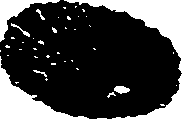 062/062270030100780_1.png