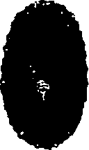 062/062270030100780_2.png
