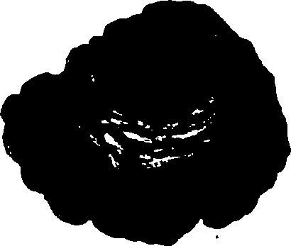 062/062270030100950_0.png