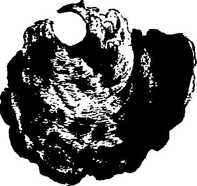 062/062270030100950_1.png