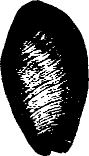 062/062270030100980_0.png