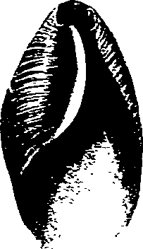 062/062270030100980_1.png