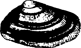 062/062270030101040_0.png