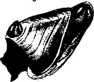 062/062270030101070_0.png