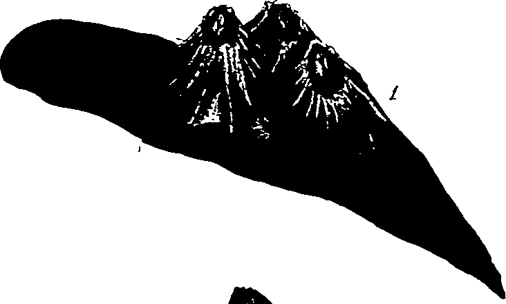 062/062270030101070_1.png
