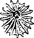 062/062270030101070_2.png