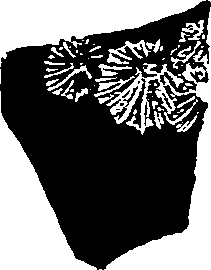 062/062270030101070_3.png