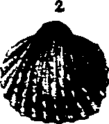 062/062270030101130_0.png