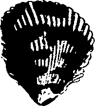 062/062270030101130_2.png