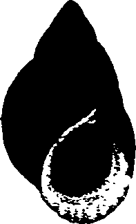 062/062270030101170_0.png