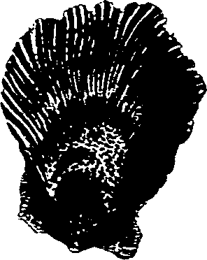 062/062270030101210_0.png
