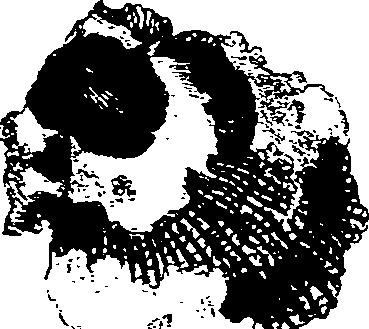 062/062270030101210_1.png