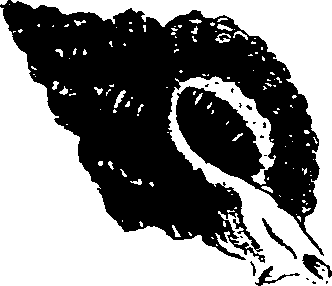 062/062270030101240_0.png