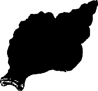 062/062270030101240_1.png