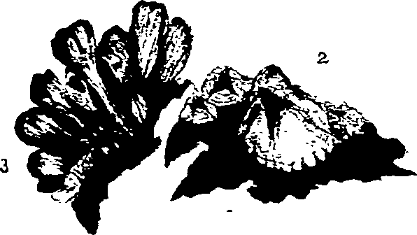 062/062270030101270_0.png