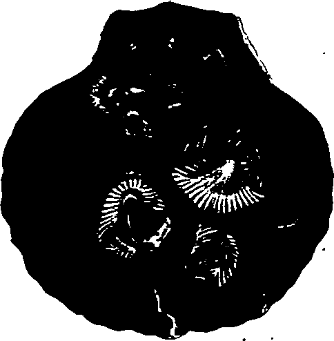 062/062270030101270_1.png