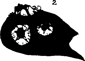 062/062270030101270_2.png