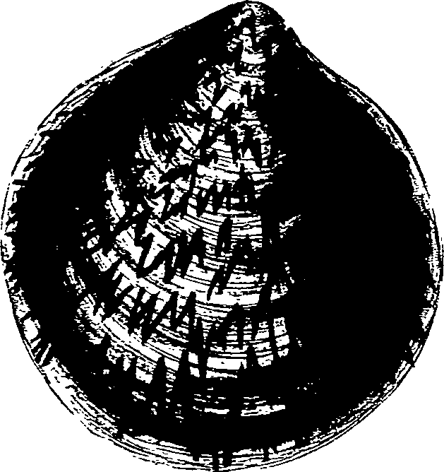 062/062270030200020_0.png