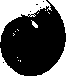 062/062270030200080_1.png