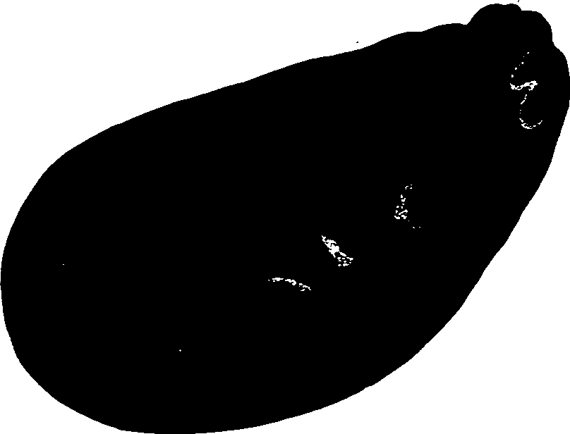 062/062270030200130_0.png