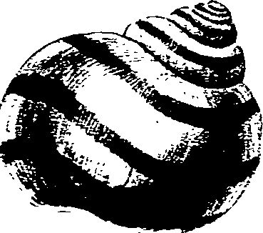 062/062270030300340_0.png