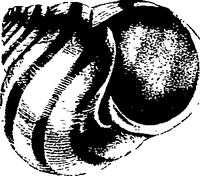 062/062270030300340_1.png