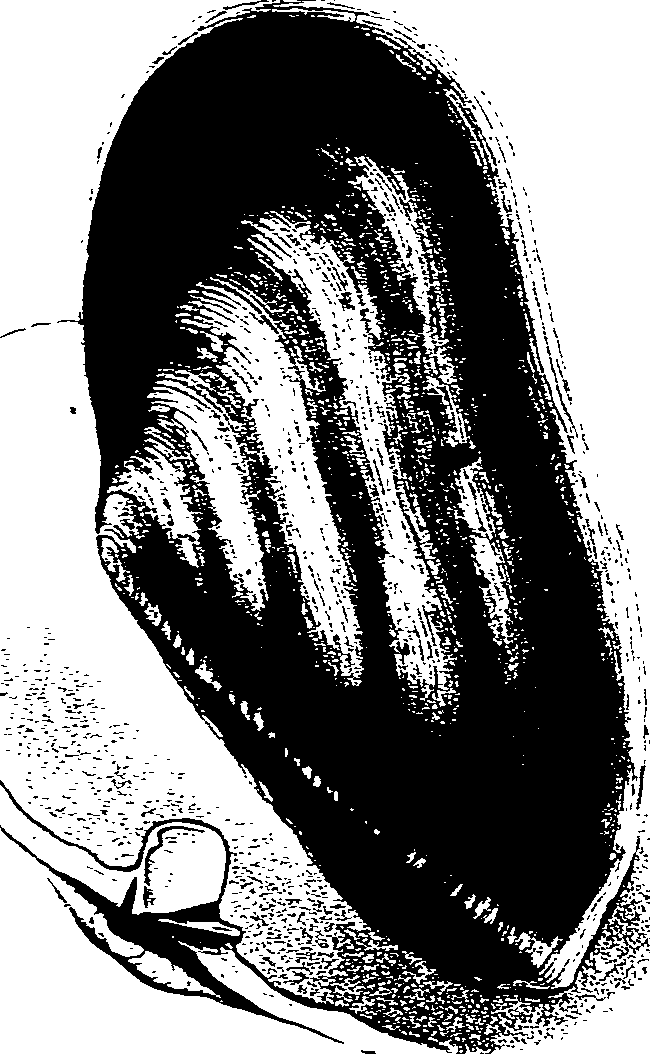 062/062270030300400_0.png