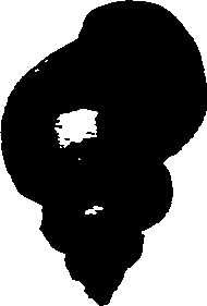 062/062270030300450_0.png