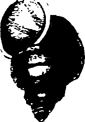 062/062270030300450_1.png